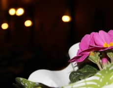 IMG_6268